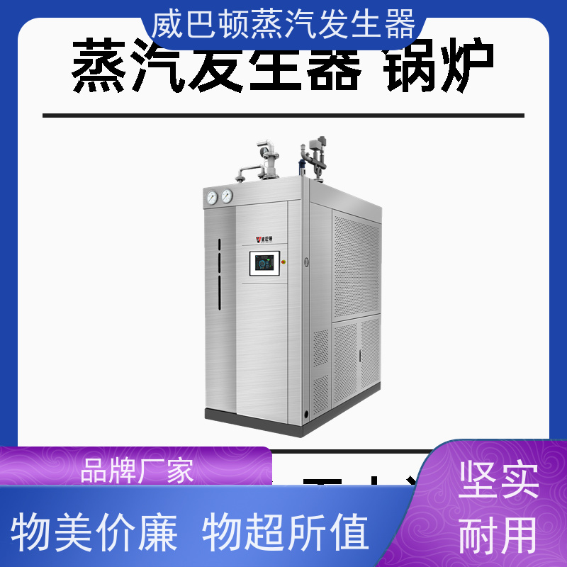 食品级 天然气烧锅炉 热效率 101% 还省气 印染厂
