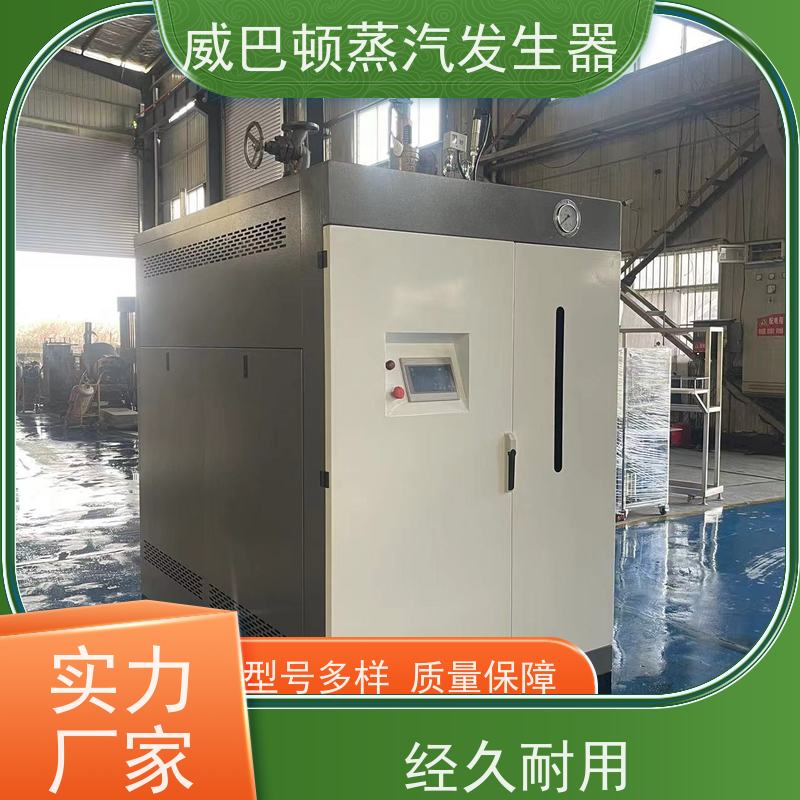  洗涤熨烫 新能源环保锅炉 蒸汽干度 97% 混凝土养护