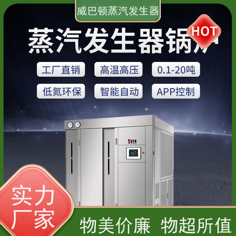  免特检 新能源环保锅炉 热效率 101% 还省气 泡沫厂