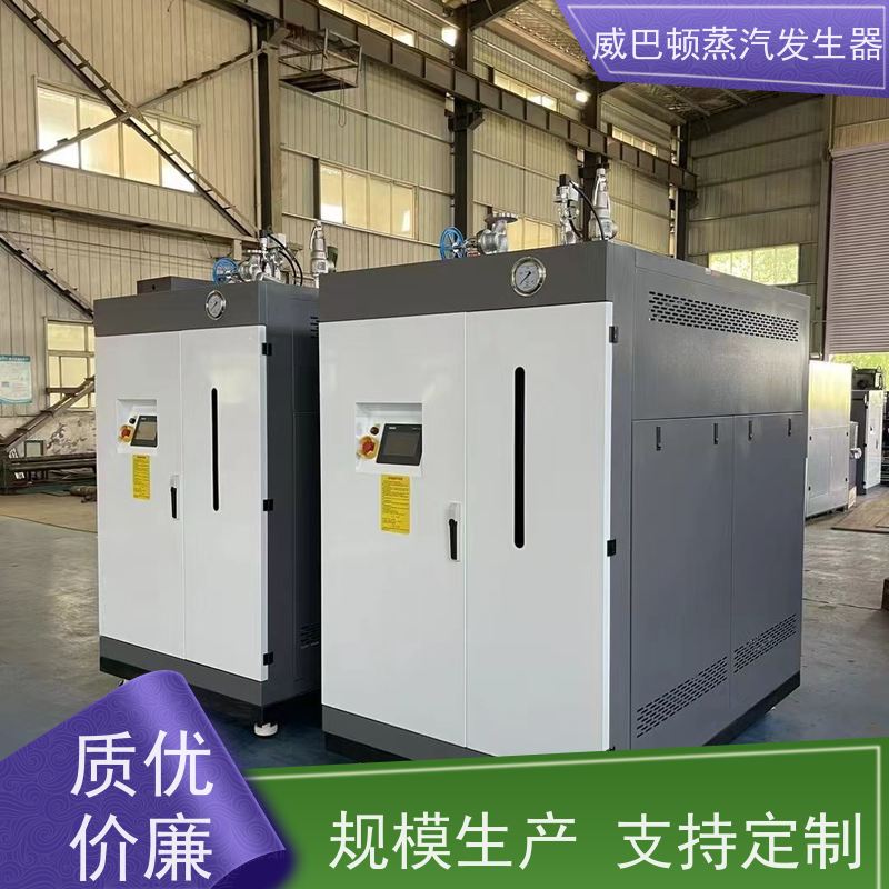  灭菌消毒 新能源环保锅炉 水容积≤30L，合规又省心 橡胶厂