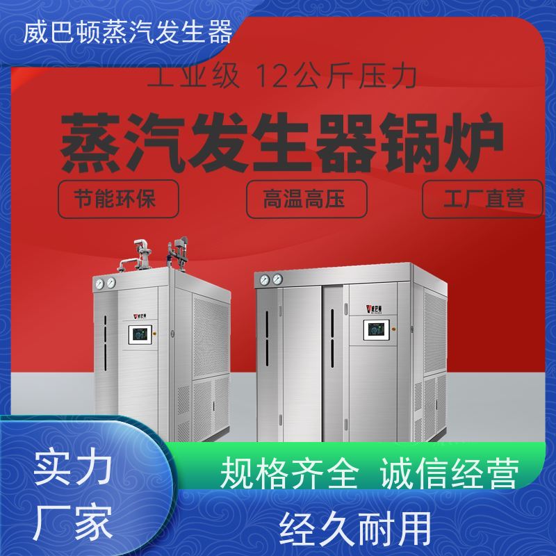 不锈钢 食品级蒸汽发生器 小车间也能轻松装 泡沫厂