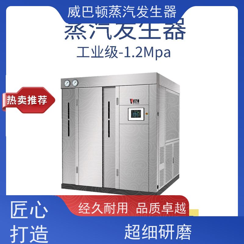  洗涤熨烫 液化气蒸汽发生器 多台并联省气稳供 反应釜