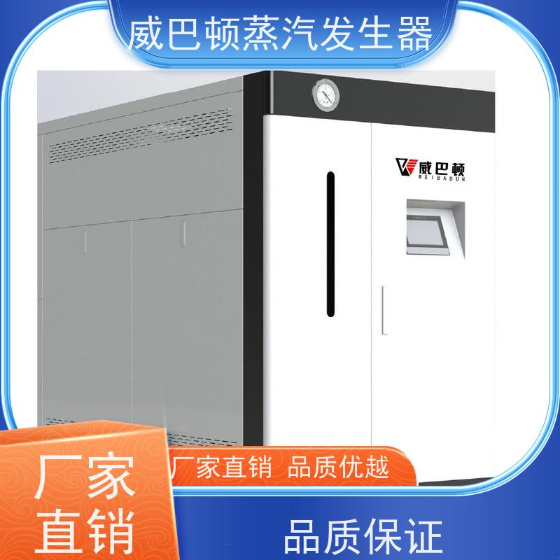  节能环保 六吨蒸汽锅炉 体积小一半全 大棚恒温