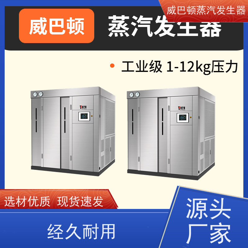 新型国标 10吨天然气锅炉 3 分钟出蒸汽 大棚恒温