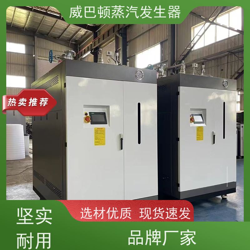  新型国标 蒸汽发生器 水容积≤30L，合规又省心 大棚恒温