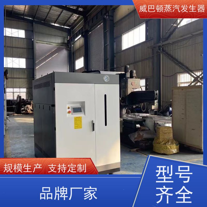  低氮冷凝 液化气热水锅炉 水容积≤30L，合规又省心 食品厂