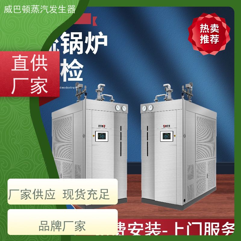  新型国标 工业蒸汽发生器 小车间也能轻松装 巴氏消毒