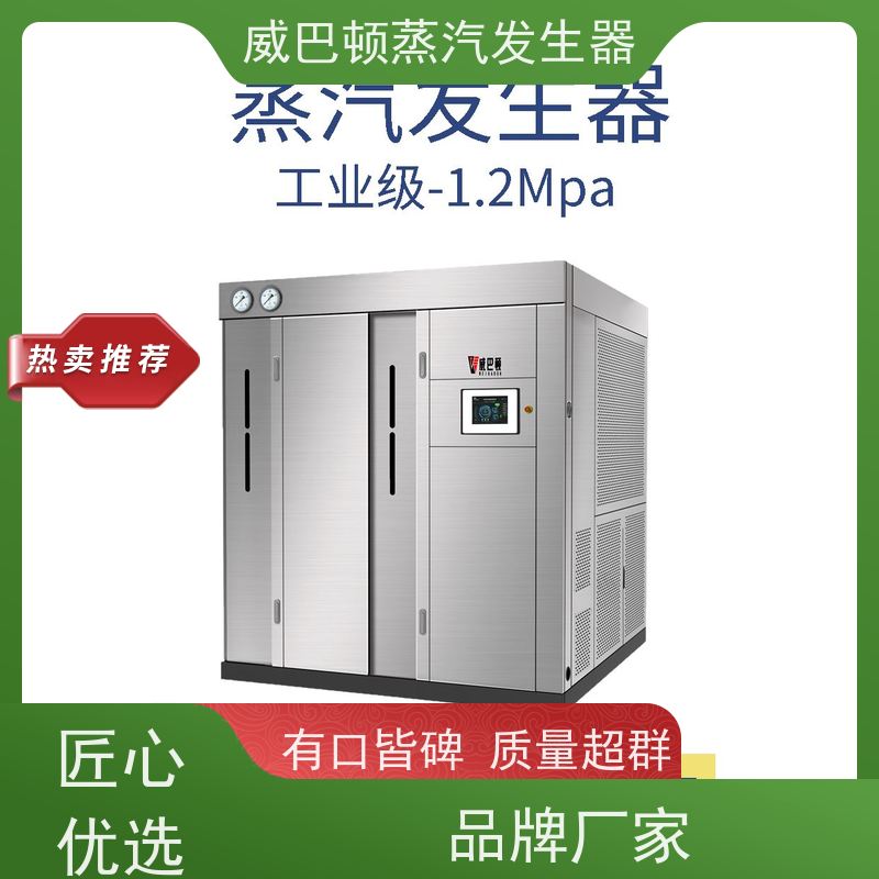  低氮冷凝 5T蒸汽发生器 体积小一半全 豆腐腐竹加工厂
