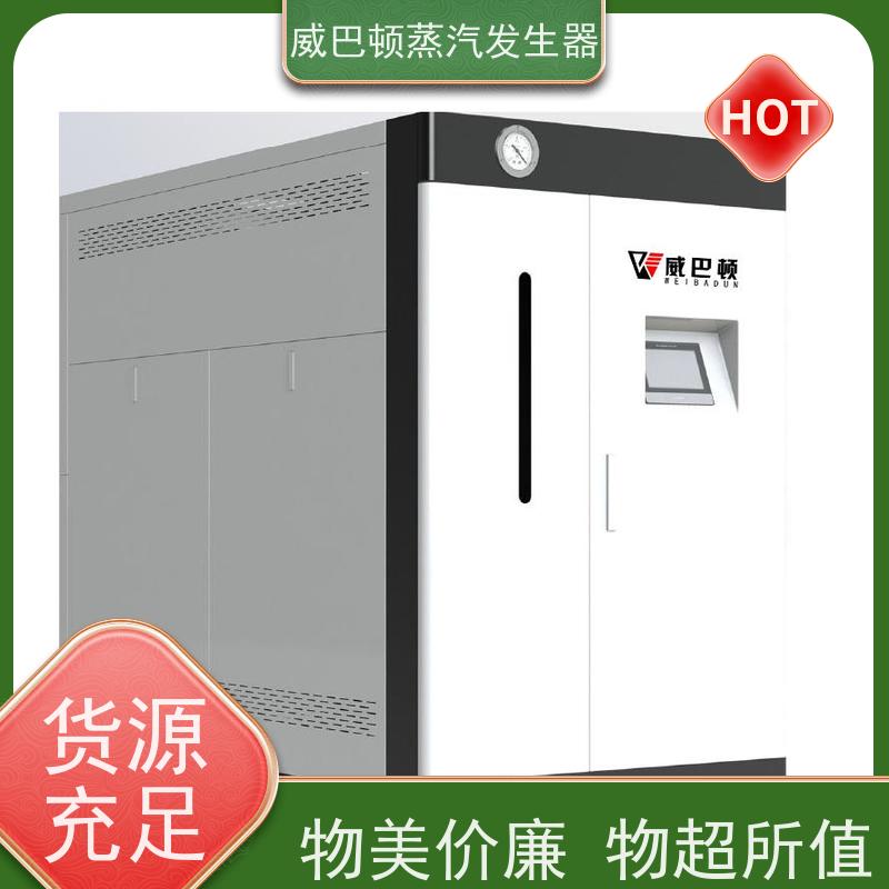  低氮冷凝 贯流蒸汽发生器 变频控制 混凝土养护