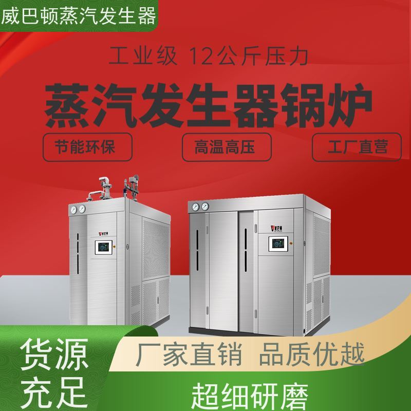 不锈钢 工业蒸汽发生器 热效率 101% 还省气 饲料行业