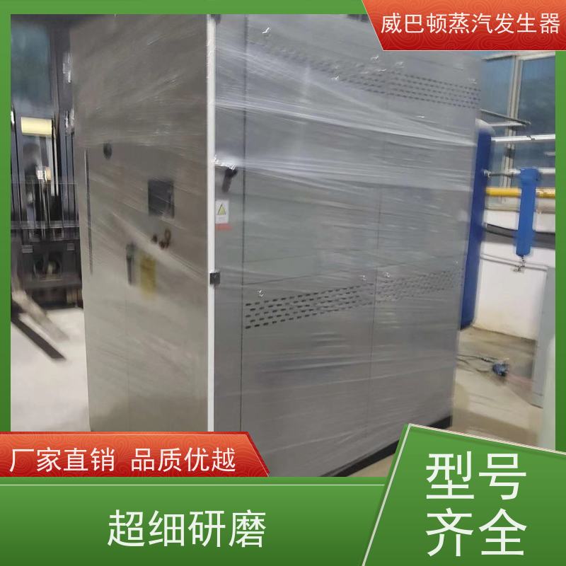  烘干熨烫 2吨蒸汽发生器 水容积≤30L，合规又省心 高温高压