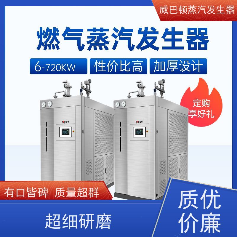  洗涤熨烫 蒸馒头专用锅炉 体积小一半全 泡沫厂