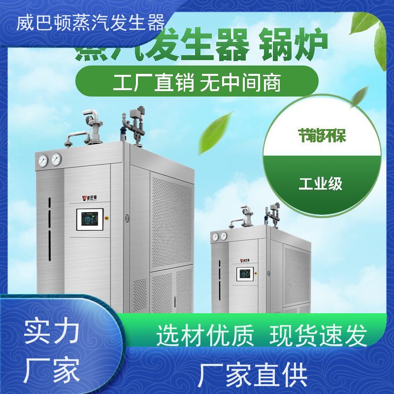  免特检 环保型锅炉 热效率 101% 还省气 食品烘干