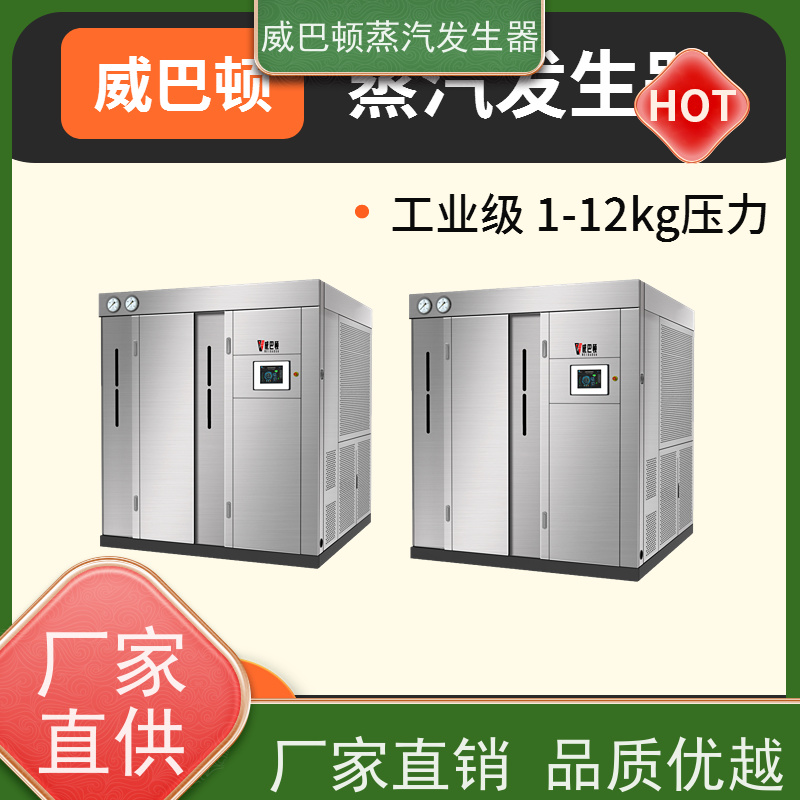  灭菌消毒 3T蒸汽发生器 小车间也能轻松装 酿酒厂
