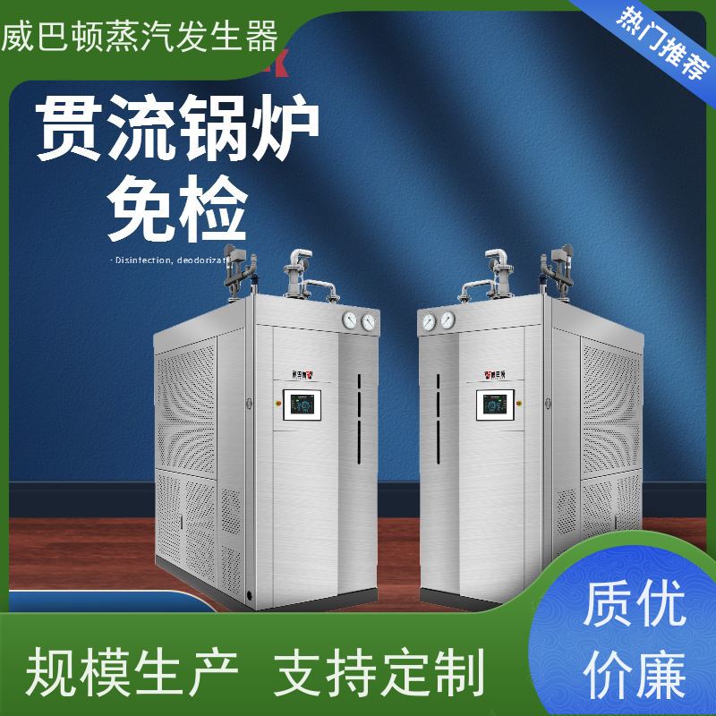  食品级 蒸馒头专用锅炉 水容积≤30L，合规又省心 食品厂
