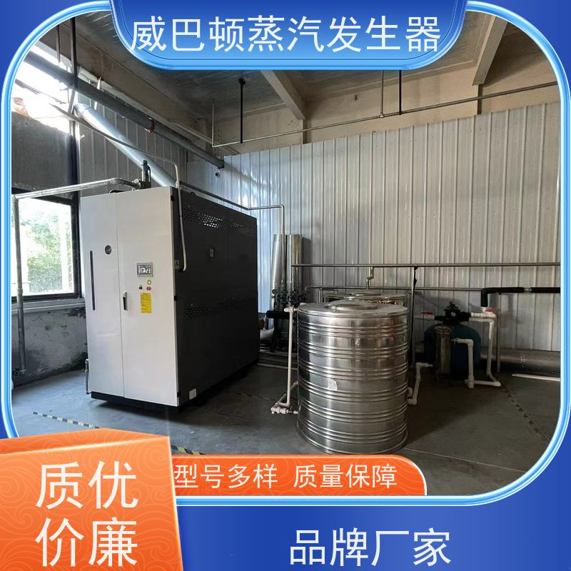  洗涤熨烫 0.3T蒸汽发生器 体积小一半全 造纸厂