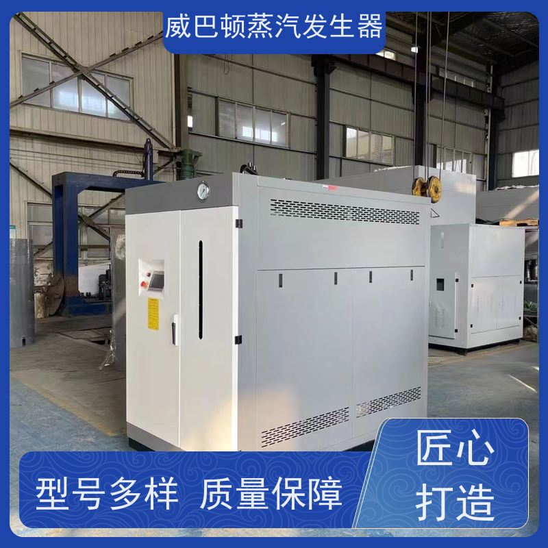  免特检 7T蒸汽发生器 热效率 101% 还省气 混凝土养护