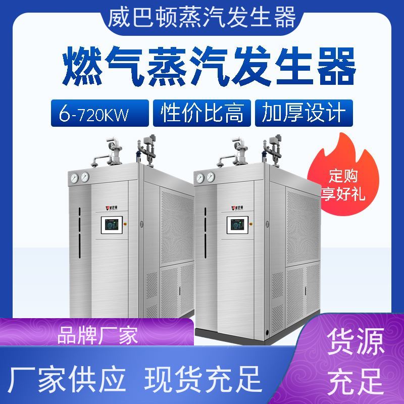  灭菌消毒 立式蒸汽发生器 热效率 101% 还省气 制药厂