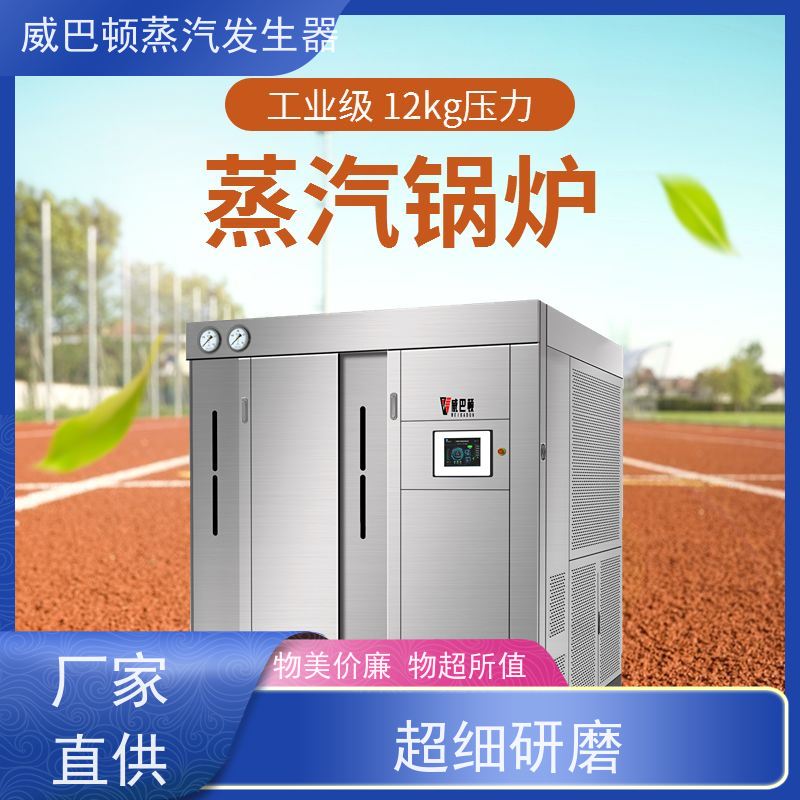  洗涤熨烫 8T蒸汽发生器 水容积≤30L，合规又省心 酿酒厂