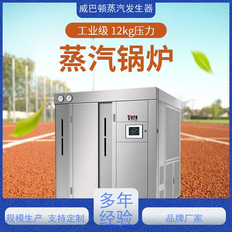  烘干熨烫 食品级蒸汽发生器 热效率 101% 还省气 制药厂