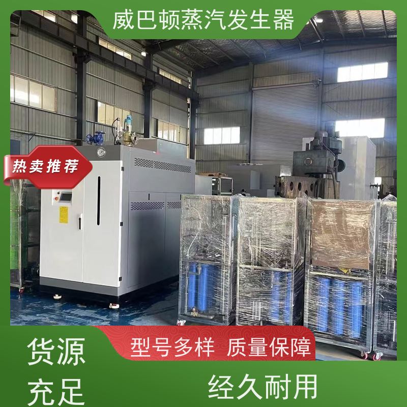  免特检 蒸馒头专用锅炉 热效率 101% 还省气 豆腐腐竹加工厂