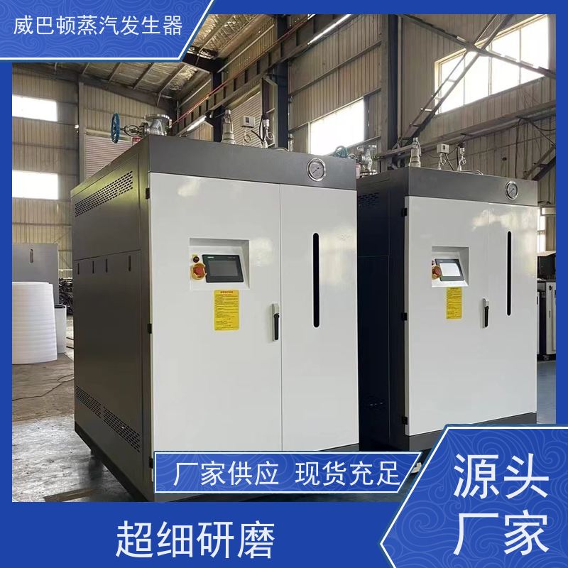  不锈钢 工业蒸汽发生器 多台并联省气稳供 智能控温