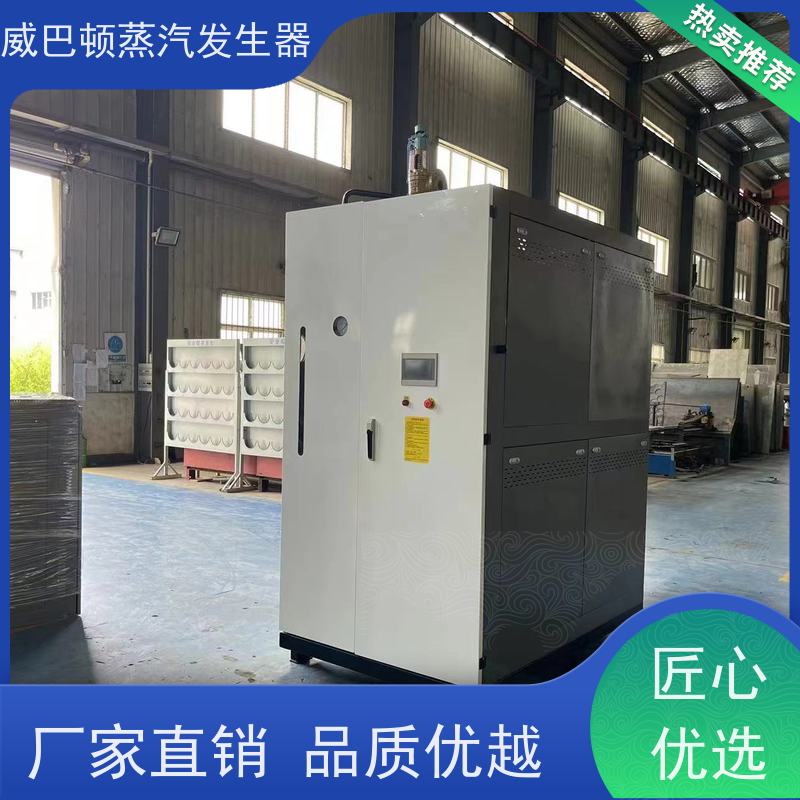  新型国标 10吨天然气锅炉 3 分钟出蒸汽 豆腐腐竹加工厂