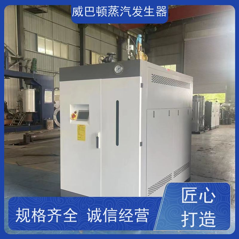  不锈钢 洗衣房锅炉 水容积≤30L，合规又省心 混凝土养护