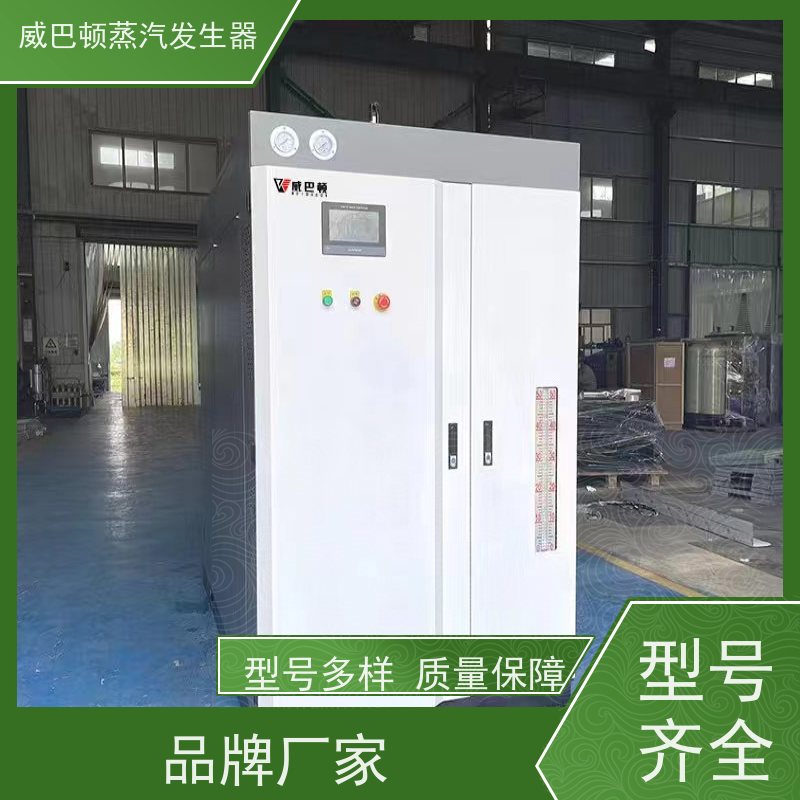  新型国标 蒸馒头专用锅炉 体积小一半全 造纸厂