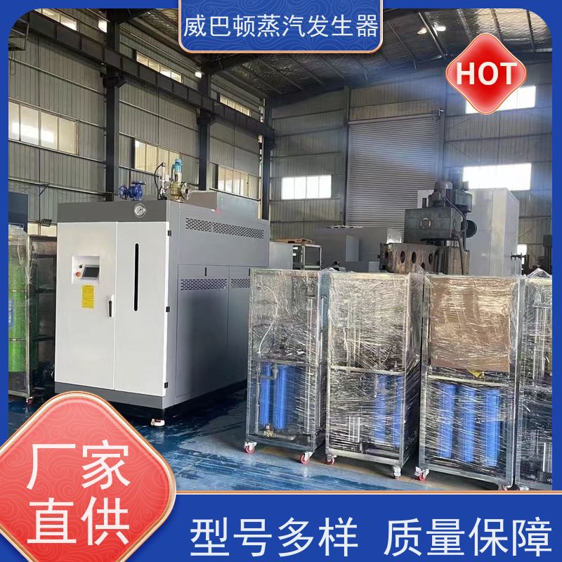  洗涤熨烫 5吨燃气锅炉 热效率 101% 还省气 混凝土养护