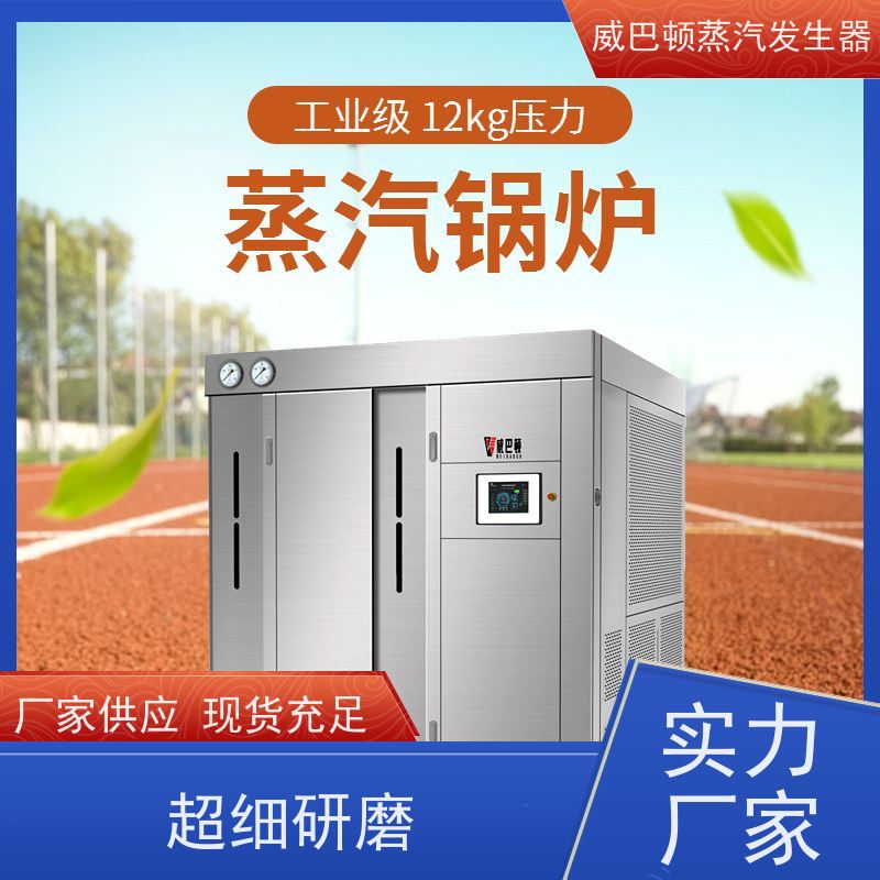  低氮冷凝 5吨燃气锅炉 水容积≤30L，合规又省心 智能控温