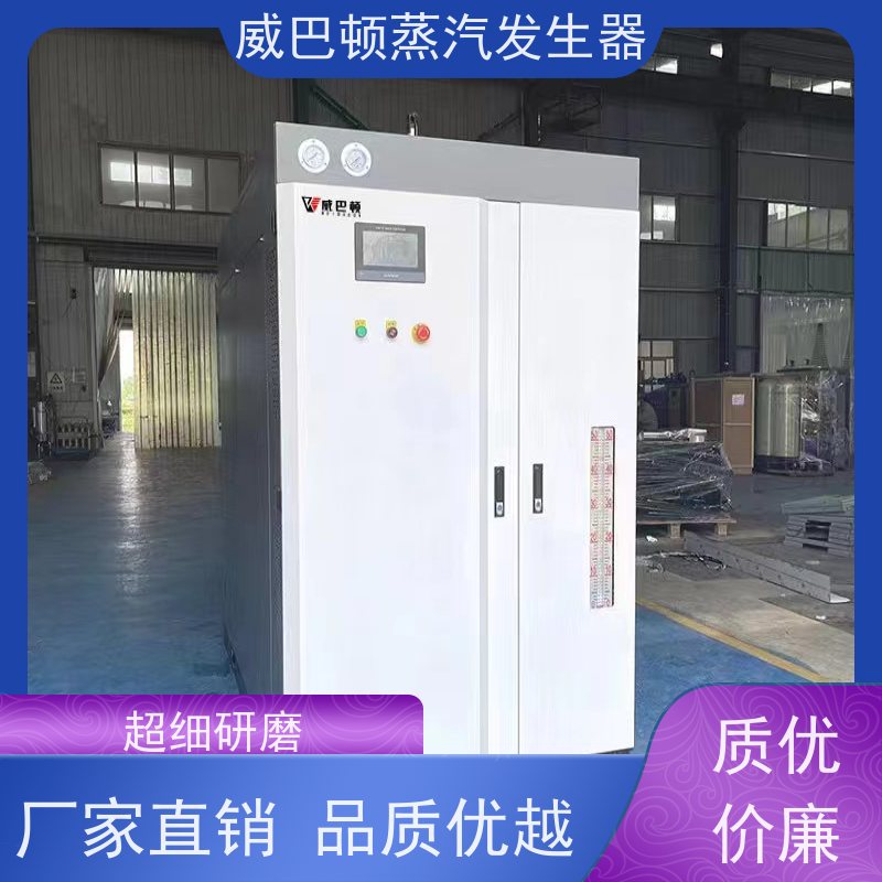  洗涤熨烫 天然气锅炉 热效率 101% 还省气 智能控温