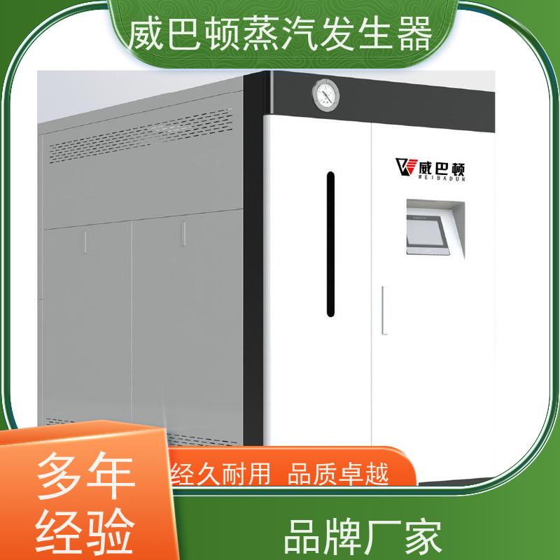  灭菌消毒 蒸汽发生器 体积小一半全 混凝土养护