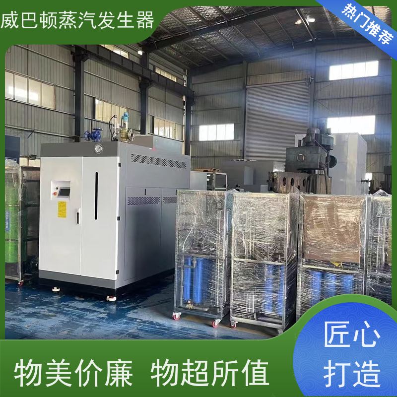  新型国标 立式蒸汽锅炉 水容积≤30L，合规又省心 酿酒厂