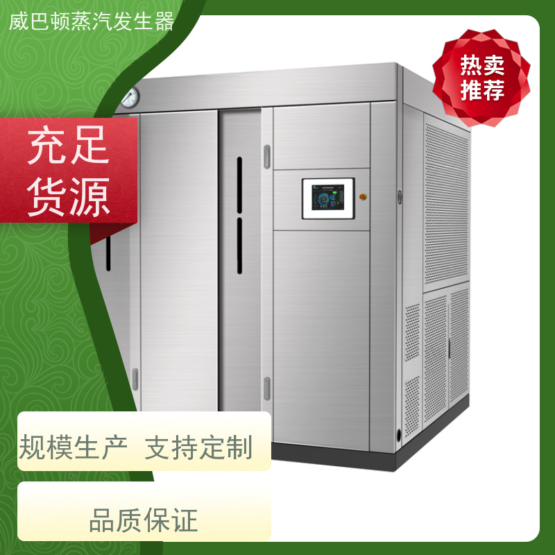  洗涤熨烫 天然气锅炉设备 体积小一半全 巴氏消毒