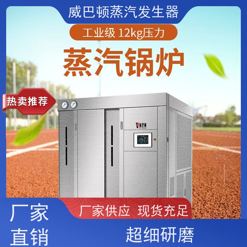  烘干熨烫 天然气锅炉 多台并联省气稳供 食品厂