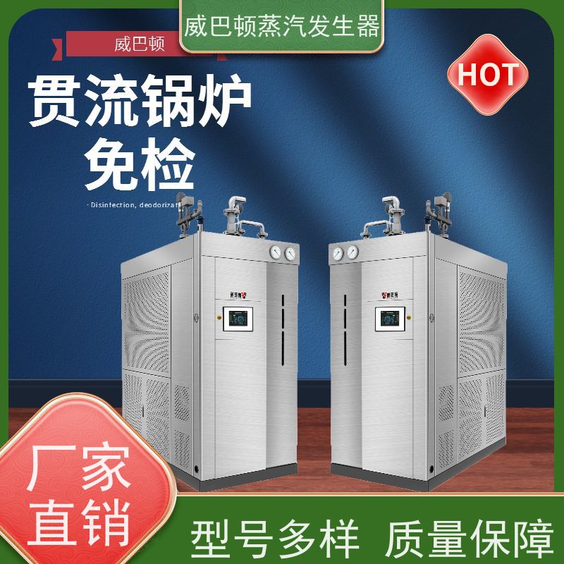  低氮冷凝 0.5T蒸汽发生器 多台并联省气稳供 食品厂