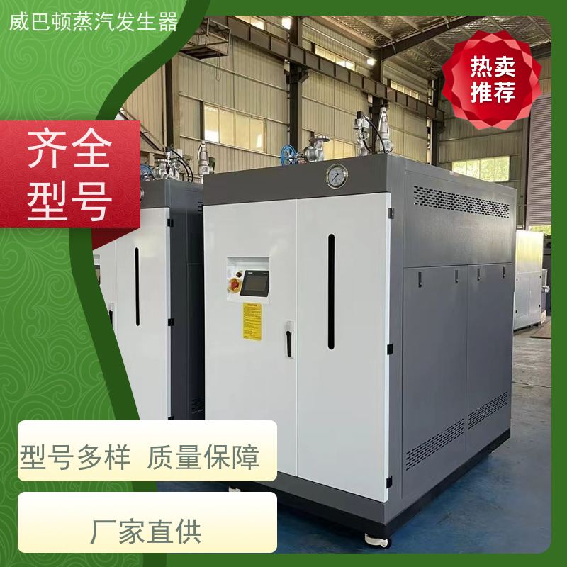  不锈钢 蒸汽锅炉设备 水容积≤30L，合规又省心 食品厂