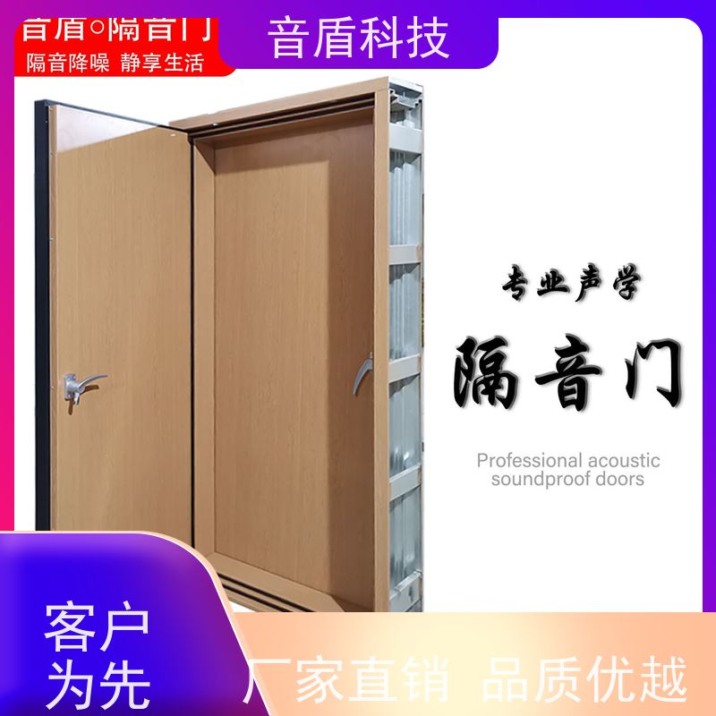 福建省 音盾 电影院防火隔音门 品质保证 款式齐全