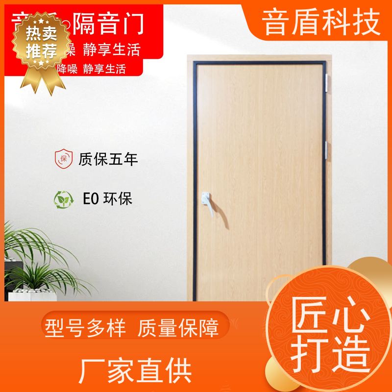 音盾定制工厂 酒店房间隔音门 品质保证 款式齐全