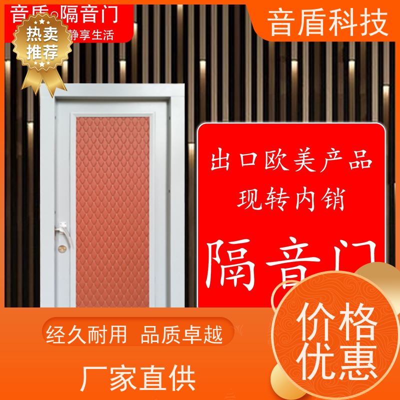 安徽省 音盾 酒吧隔音门 品质保证 大型定制工厂