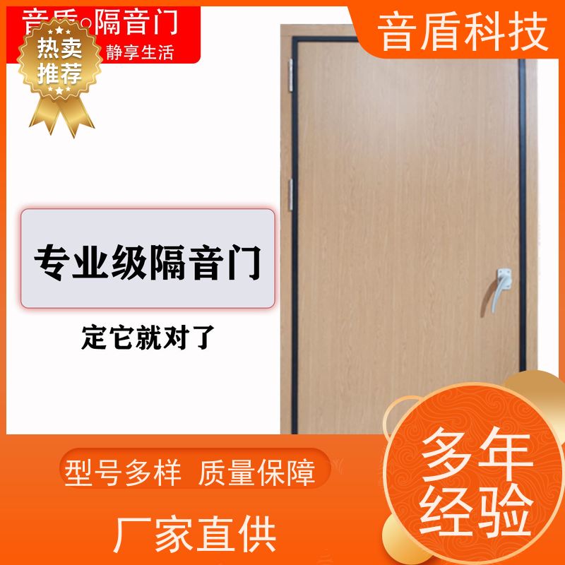 海南省 音盾 ktv包厢隔音门 品质保证 大型定制工厂