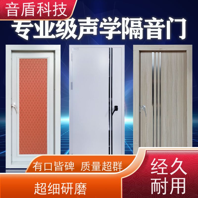 湖北省 音盾 酒店房间隔音门 品质保证 厂家批发
