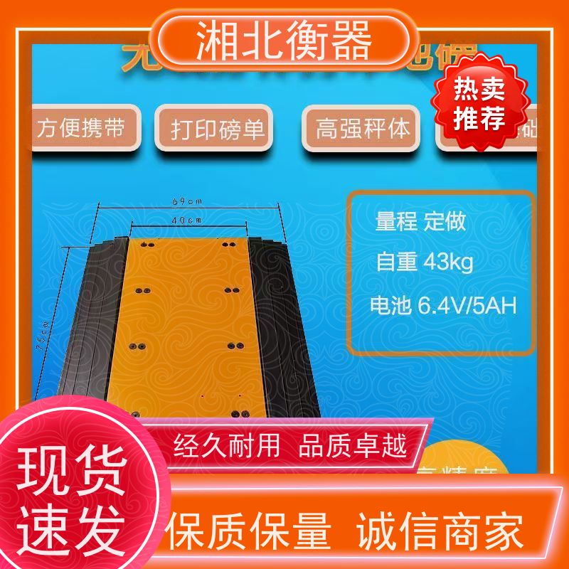 静态型便携式汽车称重仪 无线轴重秤 四六八块板简易移动地磅