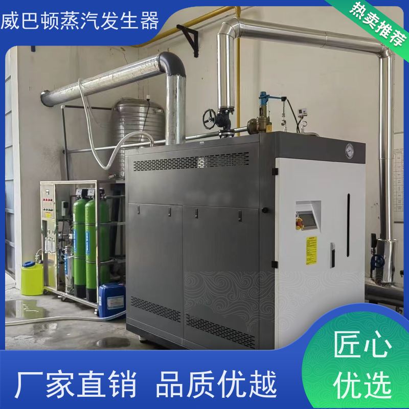  节能环保 0.5T蒸汽发生器 变频控制 混凝土养护