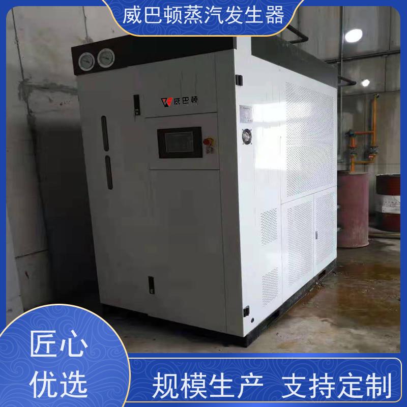  食品级 蒸馒头专用锅炉 水容积≤30L，合规又省心 混凝土养护