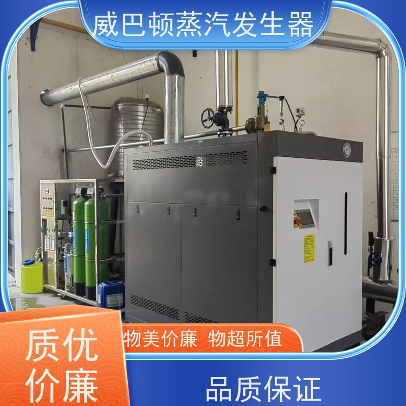  洗涤熨烫 贯流蒸汽锅炉 体积小一半全 巴氏消毒