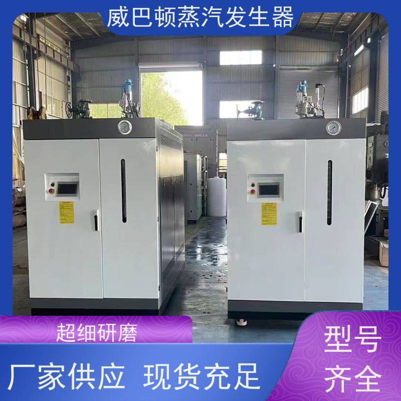  洗涤熨烫 5吨蒸汽锅炉 水容积≤30L，合规又省心 饲料行业
