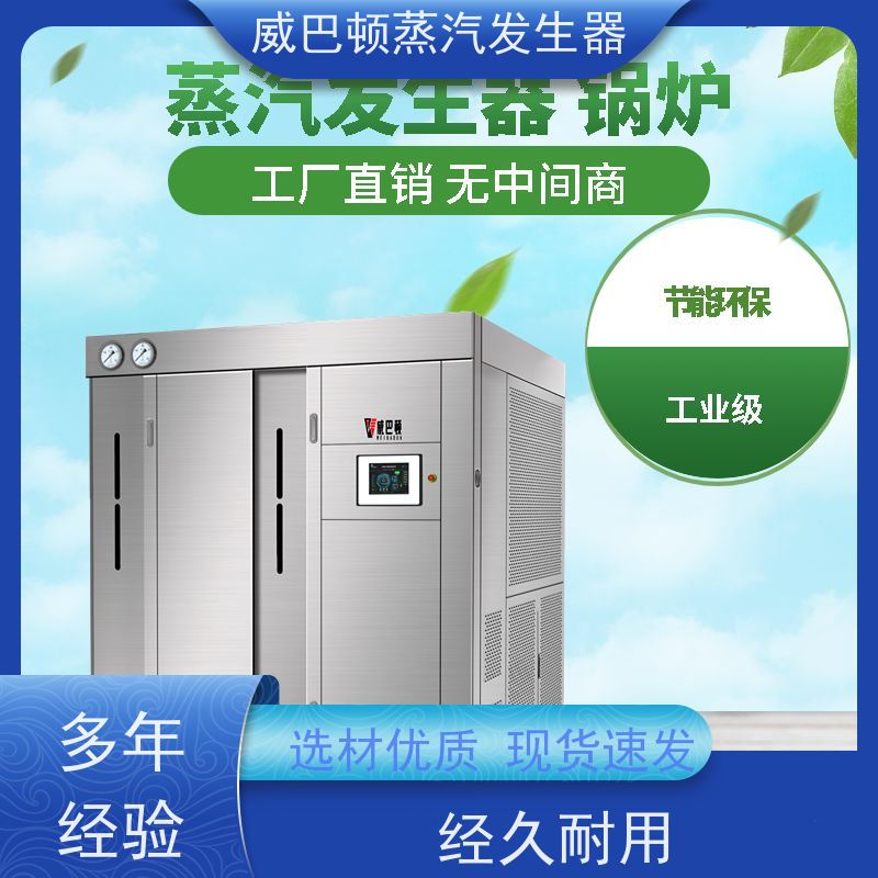  新型国标 4T蒸汽发生器 水容积≤30L，合规又省心 泡沫厂