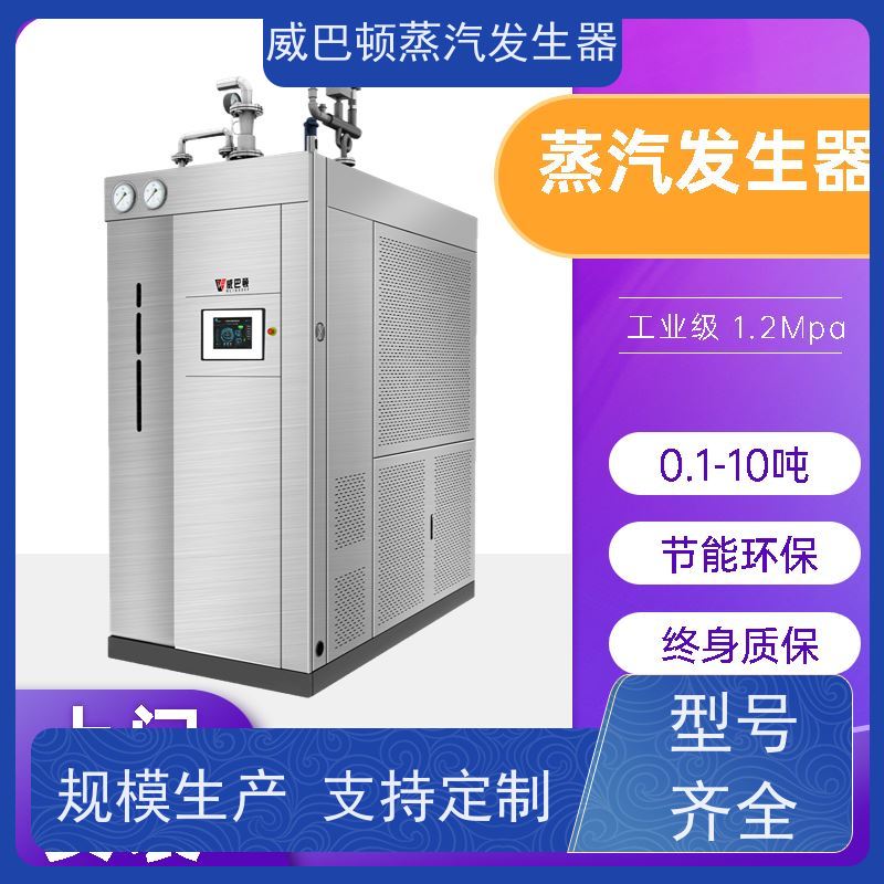  不锈钢 2吨蒸汽发生器 热效率 101% 还省气 混凝土养护